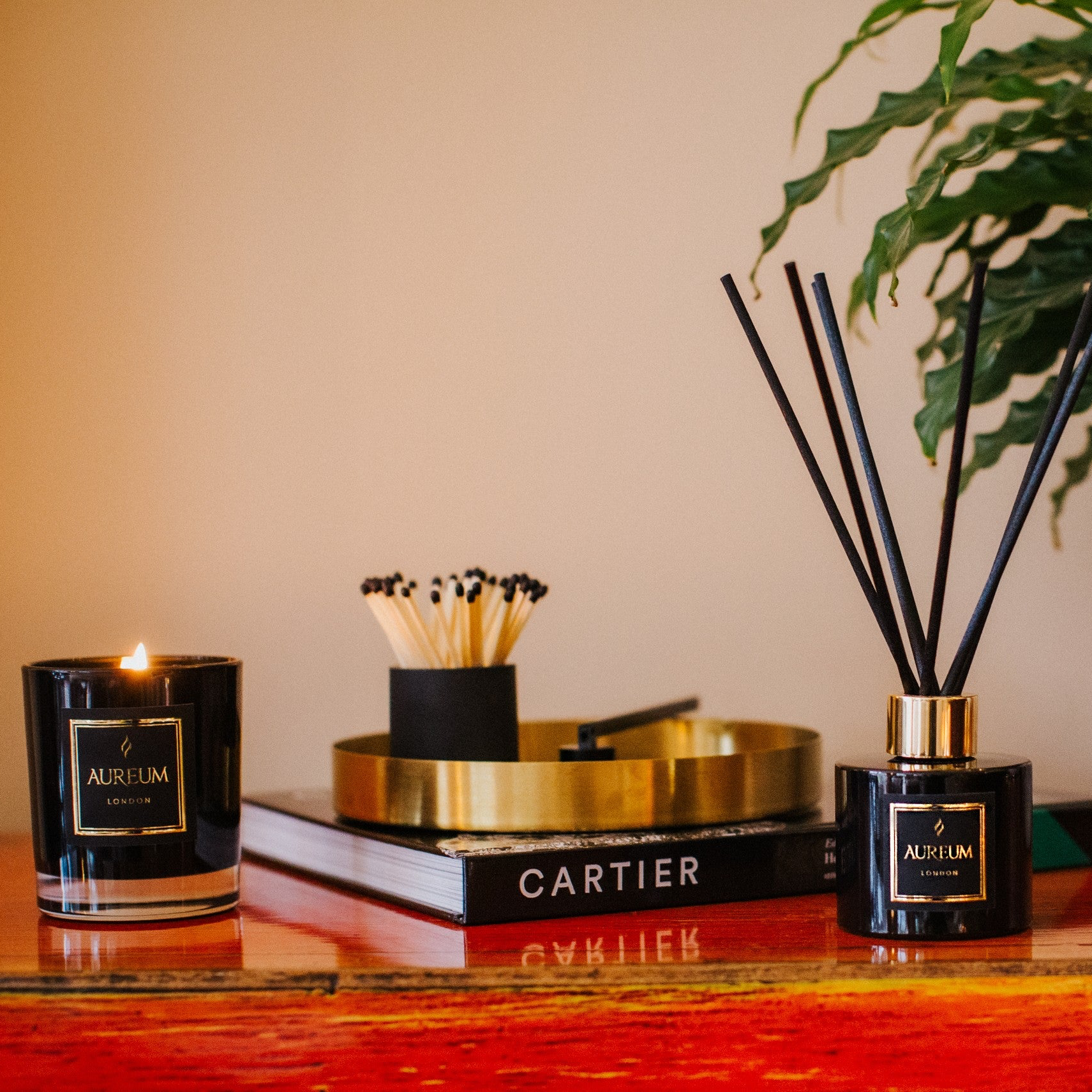 Candle, books, and diffuser on a wooden surface with a plant in the background